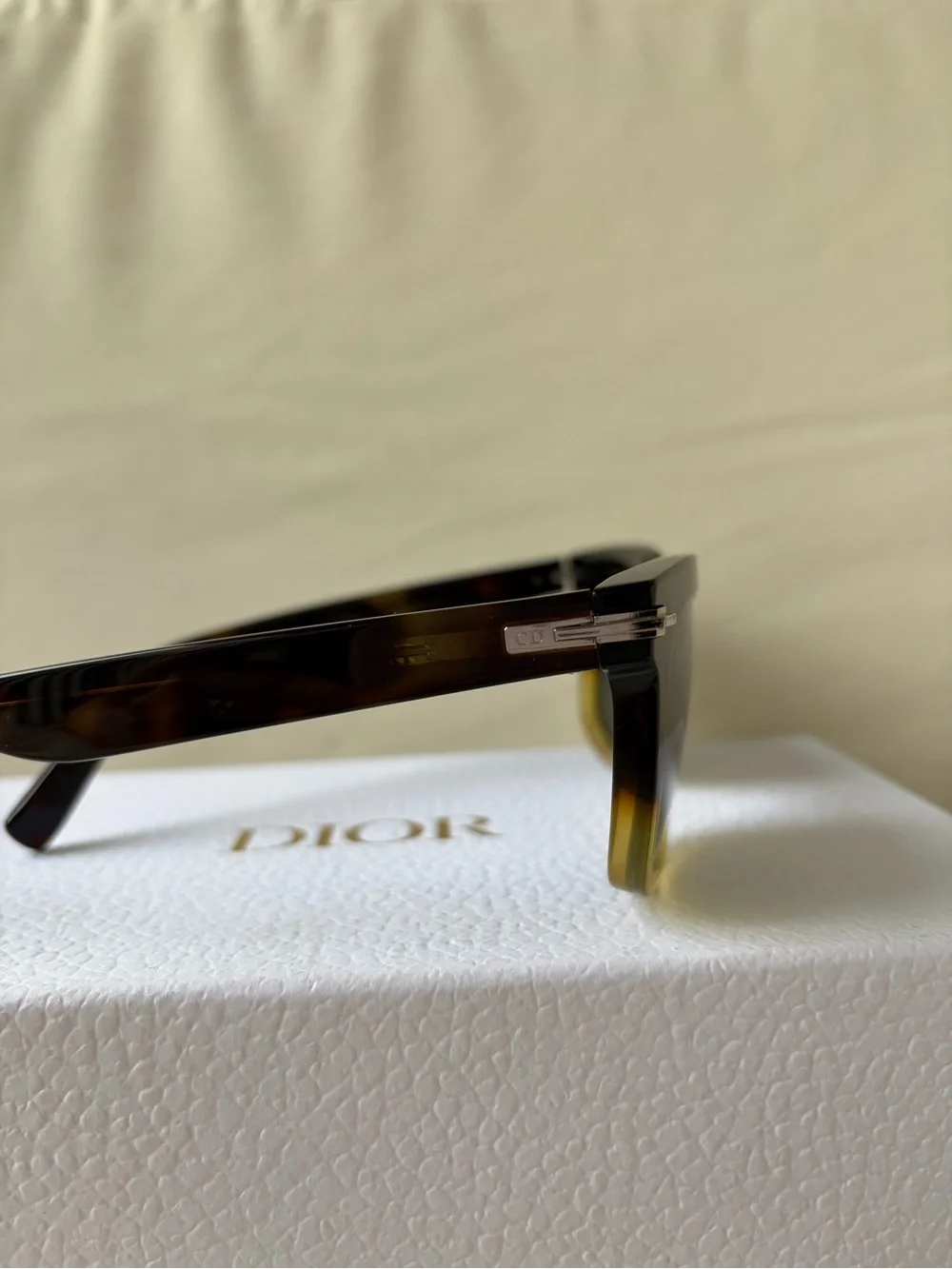 Dior authentic christian